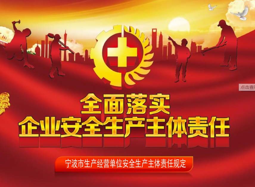 宁波市生产经营单位安全生产主体责任规定
